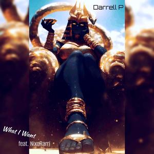 What I want (feat. NixoRarri) (Explicit)