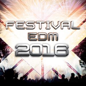 Total Fitness Records Presents Festival EDM 2016