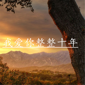 我爱你整整十年