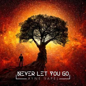 Never Let You Go
