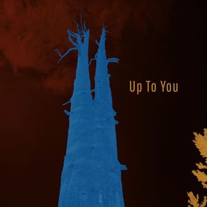 Up To You