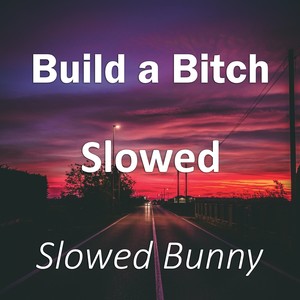 Build a ***** Slowed (Remix) [Explicit]