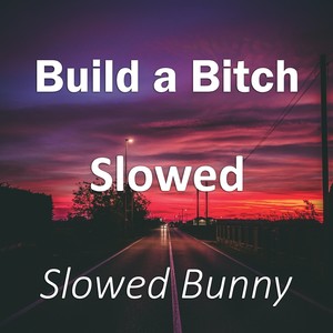 Build a ***** Slowed (Remix|Explicit)