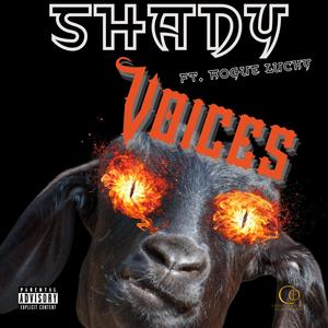 Voices (feat. Rogue Lucky) [Explicit]