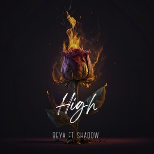 High