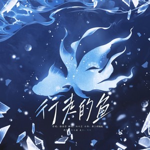 行走的鱼-陆白芷