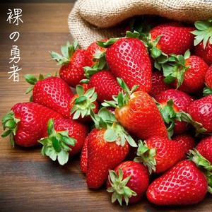 裸の勇者