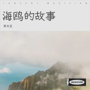 海鸥的故事
