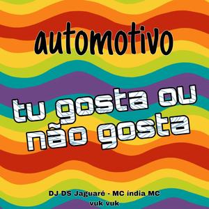 Automotivo tu gosta ou nao gosta (Explicit)