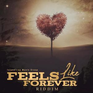 Feels Like Forever Riddim