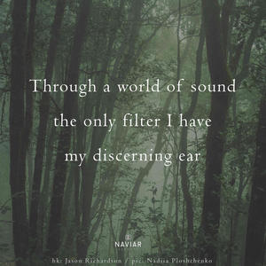 my discerning ear (Naviarhaiku562) (Alternate Version)