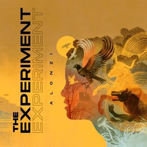 Dey Ok (feat. Badaru) (Explicit)