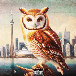 Night Owls (Explicit)