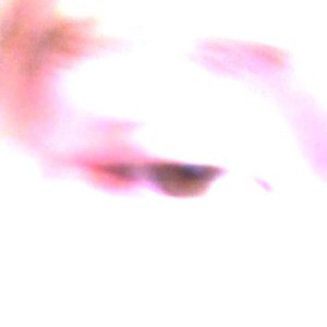 Прощай (Explicit)