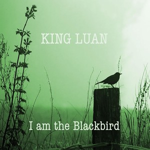 I Am the Blackbird