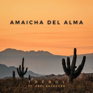 Amaicha del Alma