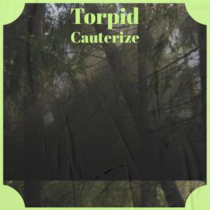 Torpid Cauterize