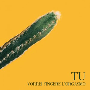 Vorrei fingere l'orgasmo