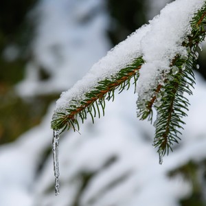 Winter Piano