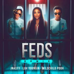 Feds Remix (feat. Luh Youngin' & Wild-Child Pooh) [Explicit]