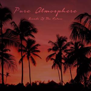 Pure Atmosphere - Sounds of the Nature