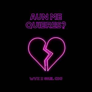 Aun Me Quieres? (Explicit)