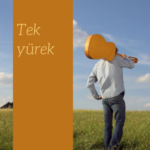 Tek yürek (Explicit)