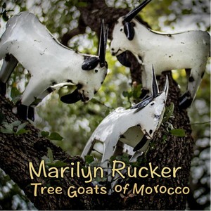 Tree Goats of Morocco