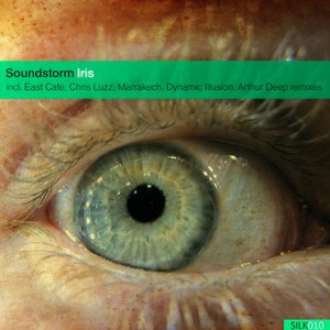 Iris (Chris Luzz 'Epic Journey' Remix)