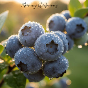 Blueberry morning