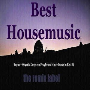 Best Housemusic (Top 10+ Organic Deeptech Proghouse Music Tunes in Key-Bb from Balearic Ibiza to Hot Miami Beach Tunes Album Compilation and the Paduraru Megamix)