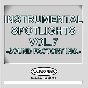 Instrumental Spotlights Vol.7