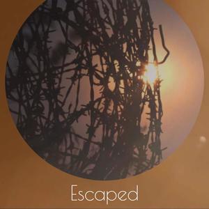 Escaped