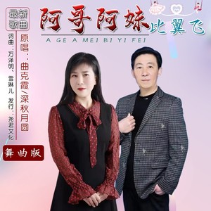 阿哥阿妹比翼飞 (舞曲版)