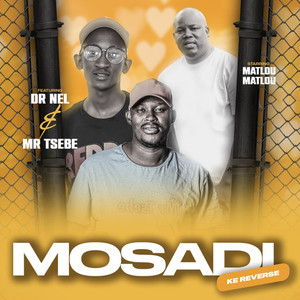 Mosadi Ke Reverse