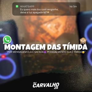 MONTAGEM DAS TIMIDAS (Explicit)