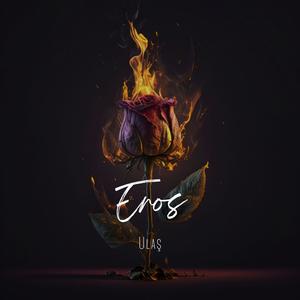 Eros (Explicit)