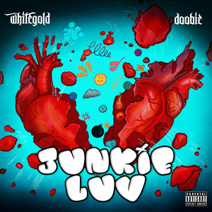 Junkie Luv (Explicit)