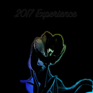 2017 Experience