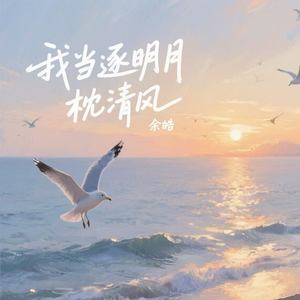 我当逐明月枕清风