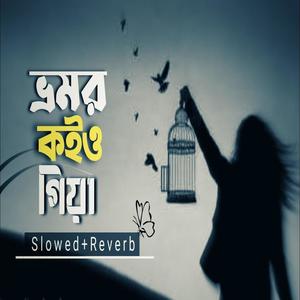 ভ্রমর কইও গিয়া (Slowed + Reverd)