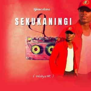 Bhincalami_Sekukaningi