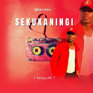 uBhincalami_Sekukaningi