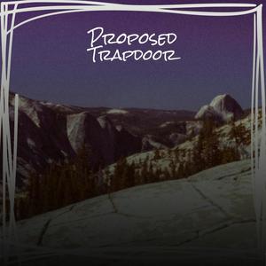 Proposed Trapdoor