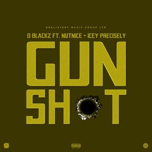 Gunshot (feat. Nutnice & Icey Precisely) [Explicit]