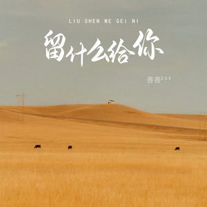 善善²²³ - 留什么给你