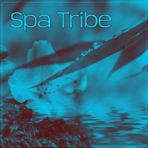 Spa Tribe – Best Spa Music for Relaxation During Massage