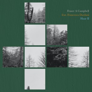 Haar II (feat. Francesca Dardani)