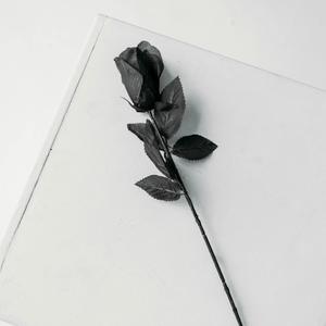 How Could I Forget You? (Explicit)