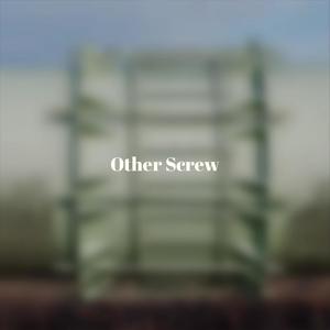 Other Screw